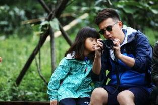 参加爸爸去哪的明星有,育儿路上的明星爸爸们